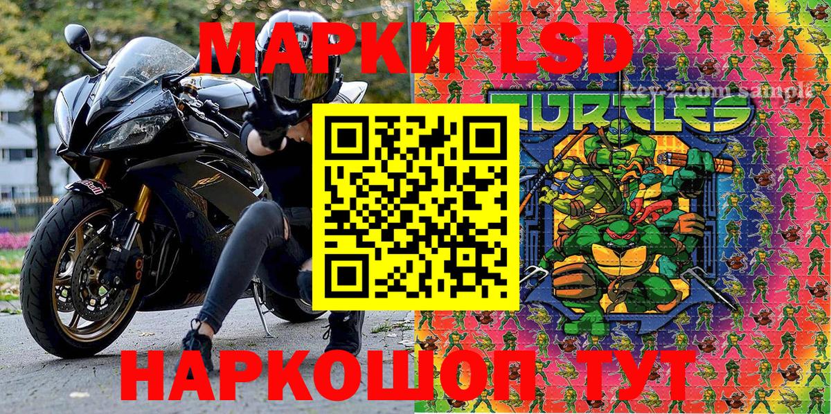 купить наркотики цена  Наркотические марки 1500мкг  Вход с VPN  Вышний Волочёк  Марки 25I-NBOMe 