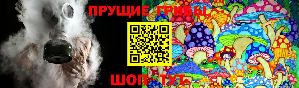 Псилоцибиновые грибы Psilocybine cubensis Вышний Волочёк