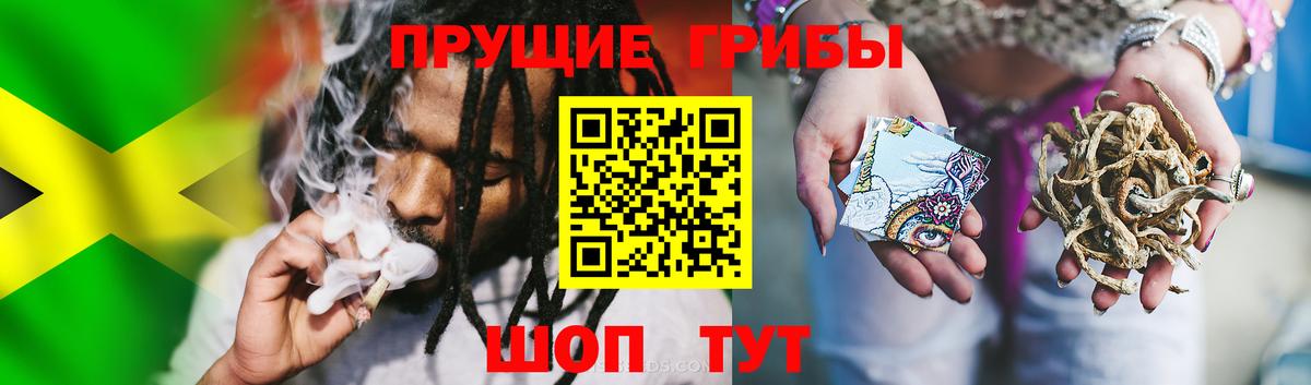 Вышний Волочёк  купить наркоту  Псилоцибиновые грибы Psilocybe  Вход с VPN  Галлюциногенные грибы прущие грибы 